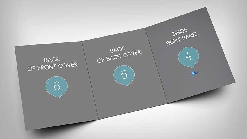 موکاپ کاتالوگ