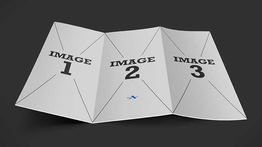 موکاپ کاتالوگ