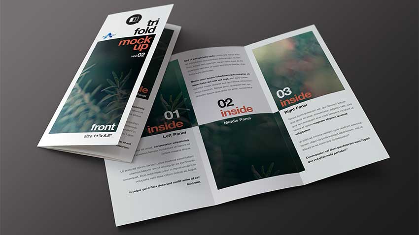 موکاپ کاتالوگ